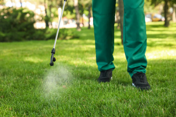 Best Residential Pest Control  in Mill Hall, PA