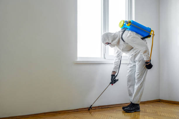 Wasp Removal Services in Mill Hall, PA