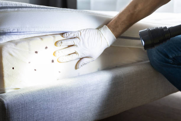Flea Control Services in Mill Hall, PA